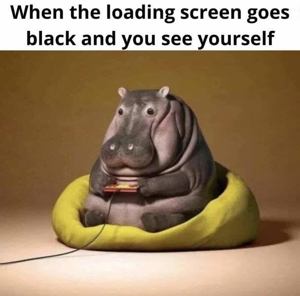 Memes For Gamers (27 pics)