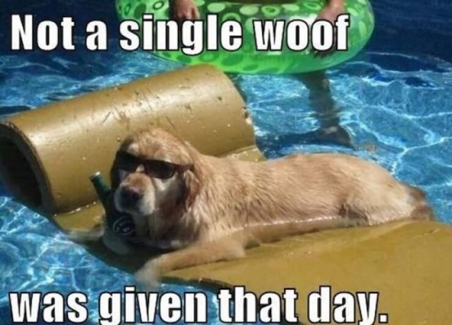 Summer Jokes (18 pics)