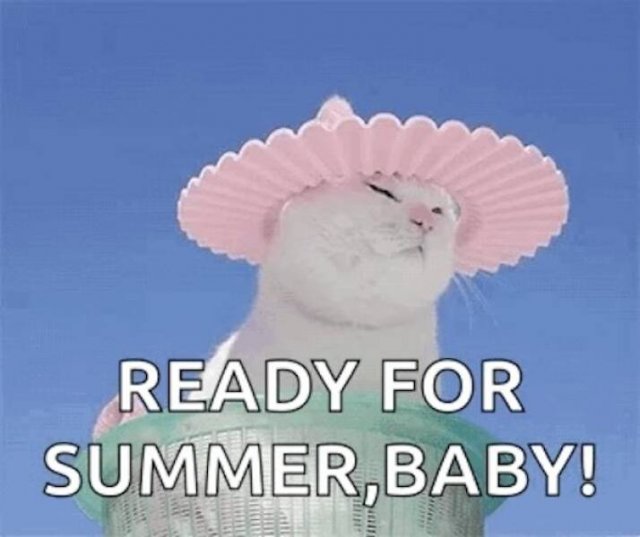 Summer Jokes (18 pics)