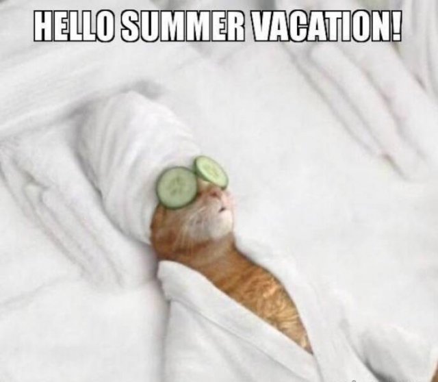 Summer Jokes (18 pics)