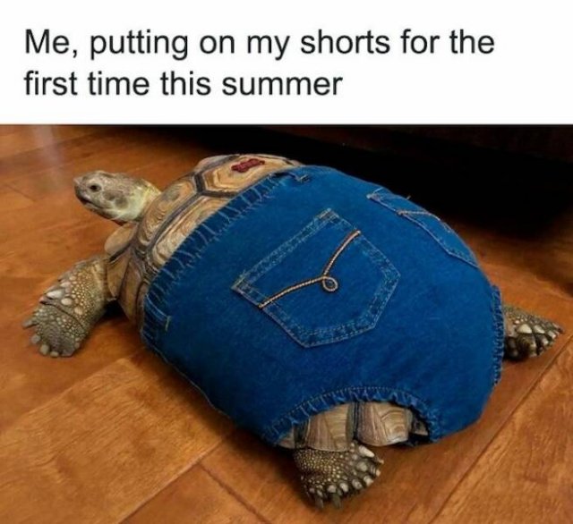 Summer Jokes (18 pics)
