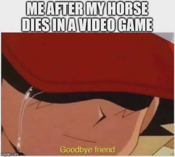 Memes For Gamers (27 pics)