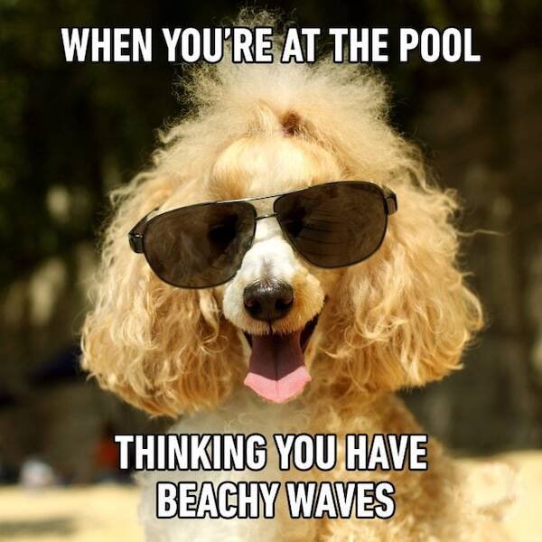Summer Jokes (18 pics)