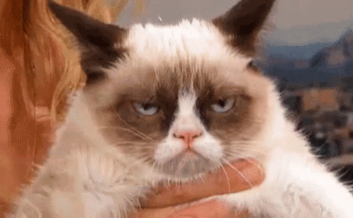 People Share Their Failures (15 gifs)