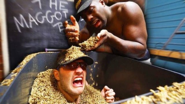 The Strangest World Records (7 pics + 11 gifs)