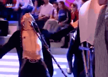 The Strangest World Records (7 pics + 11 gifs)