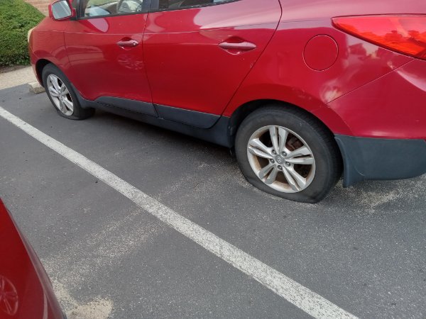 Bad Days Happen (16 pics)