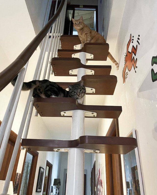 Failed Stair Design (25 pics)