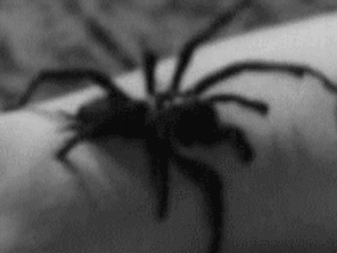 Scary Reality (15 gifs) Scary Reality (15 gifs)