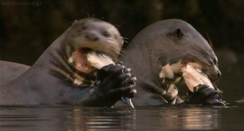 Scary Reality (15 gifs) Scary Reality (15 gifs)