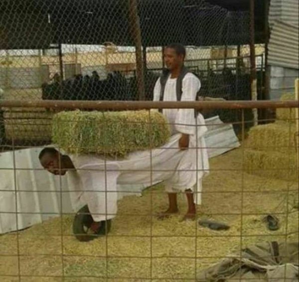 What Is Going On Here? (35 pics)