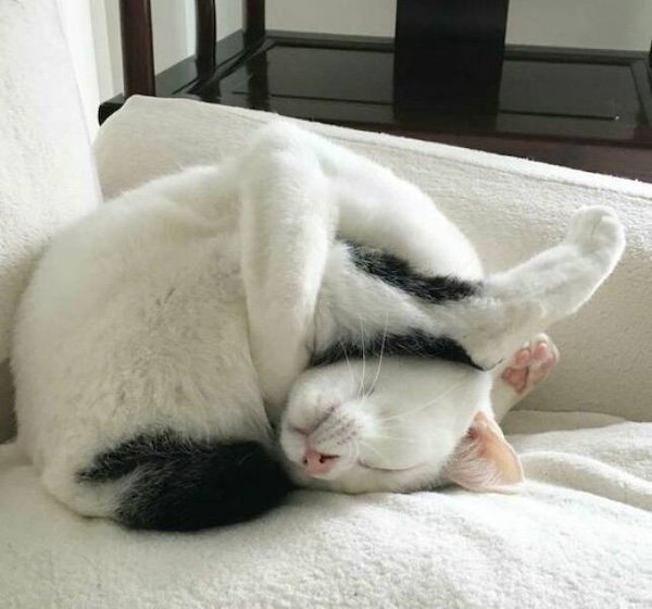 What Is Going On Here? (35 pics)