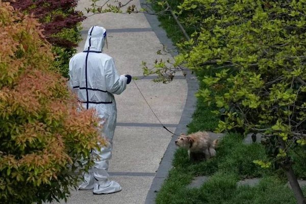 What Is Going On Here? (35 pics)