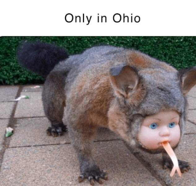 Jokes For Ohioans (26 pics)