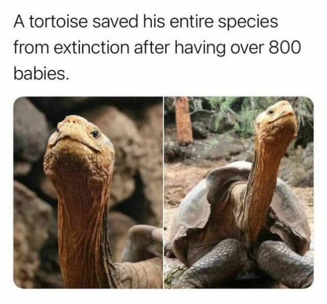 Interesting Facts And Discoveries (24 pics)