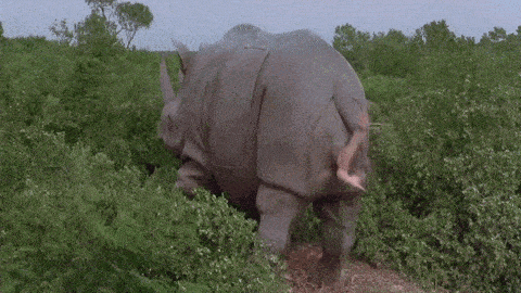 Unforgettable Movie Moments (17 gifs) Unforgettable Movie Moments (17 gifs)