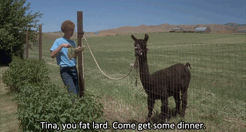 Unforgettable Movie Moments (17 gifs) Unforgettable Movie Moments (17 gifs)