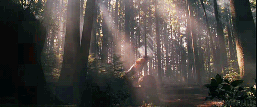 Unforgettable Movie Moments (17 gifs) Unforgettable Movie Moments (17 gifs)