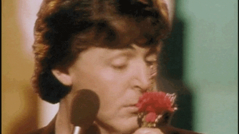 Secrets Of Different Businesses (15 gifs) Secrets Of Different Businesses (15 gifs)