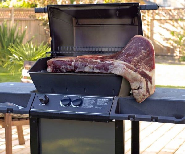 Jokes And Photos For BBQ Lovers (34 pics)