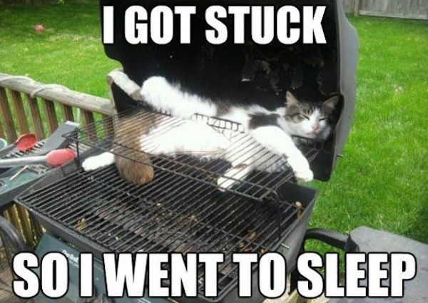 Jokes And Photos For BBQ Lovers (34 pics)