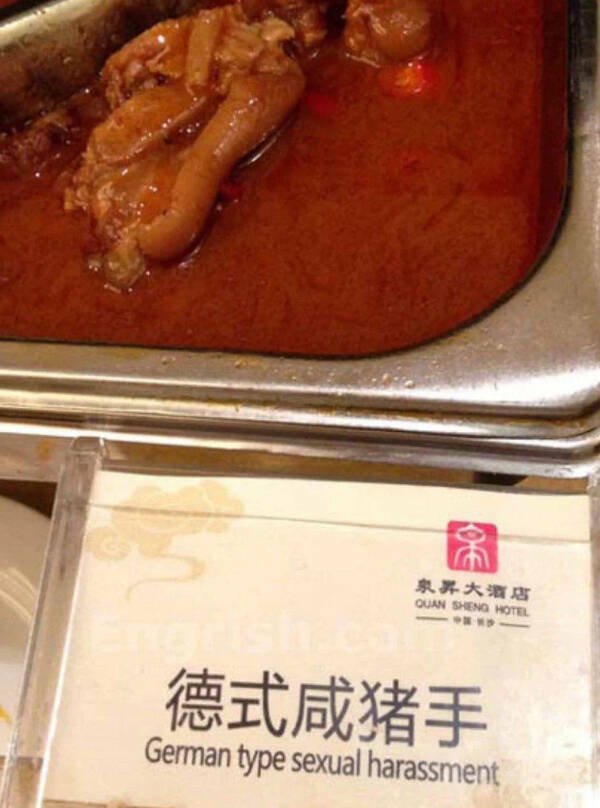 Failed Translation (22 pics)