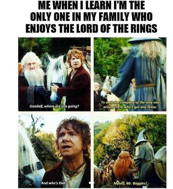 ''The Lord Of The Rings'' Memes (21 pics)