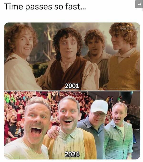 ''The Lord Of The Rings'' Memes (21 pics)