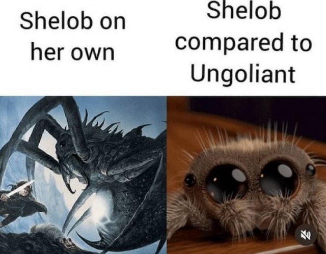 ''The Lord Of The Rings'' Memes (21 pics)