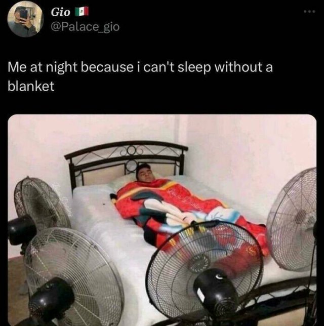 Truthful Memes (25 pics)