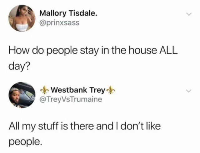 Truthful Memes (25 pics)