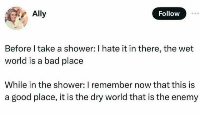 Truthful Memes (25 pics)