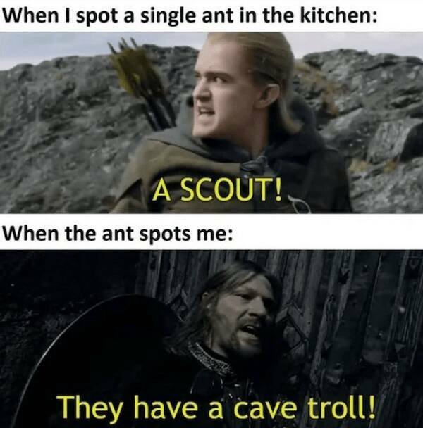 ''The Lord Of The Rings'' Memes (21 pics)