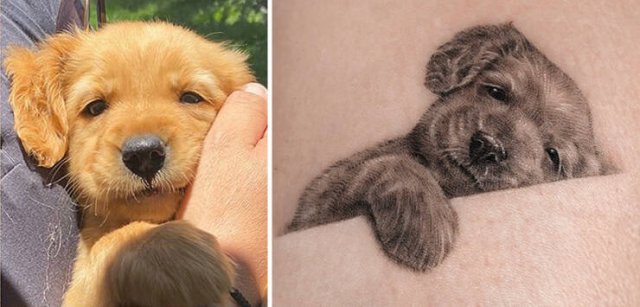 Tattoos For Pet Lovers (16 pics)