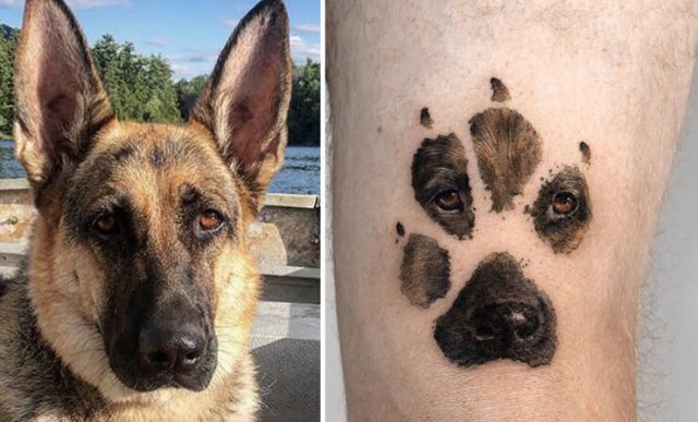 Tattoos For Pet Lovers (16 pics)