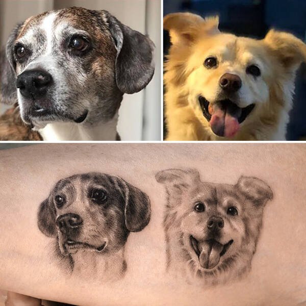 Tattoos For Pet Lovers (16 pics)