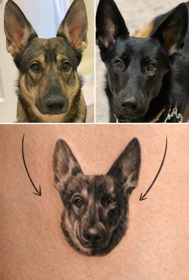 Tattoos For Pet Lovers (16 pics)