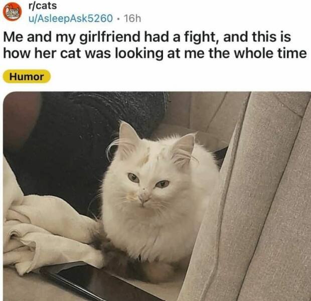 Funny Posts (28 pics)