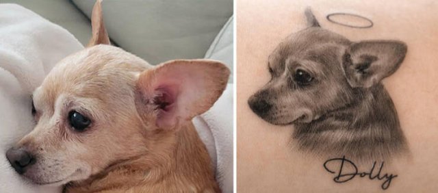 Tattoos For Pet Lovers (16 pics)