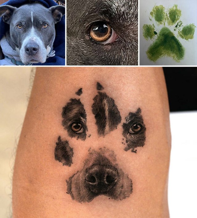 Tattoos For Pet Lovers (16 pics)