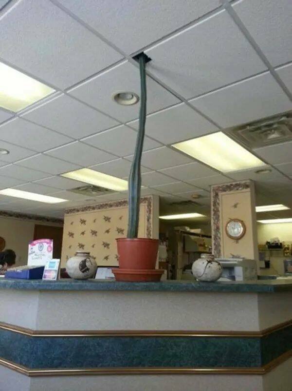 Jokes About Work (18 pics)