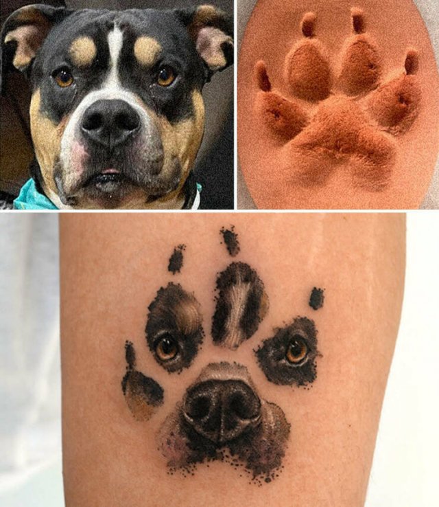 Tattoos For Pet Lovers (16 pics)