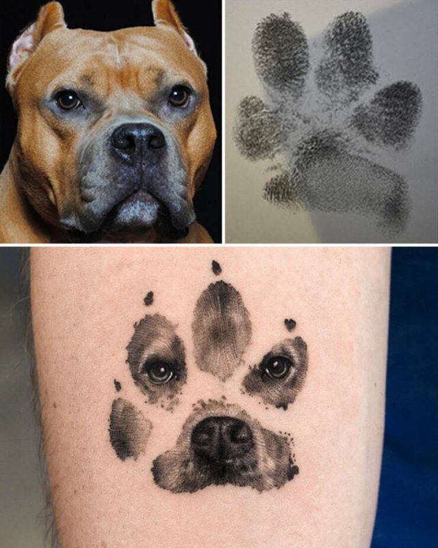 Tattoos For Pet Lovers (16 pics)