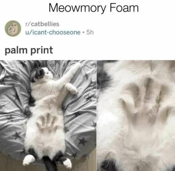Funny Posts (28 pics)