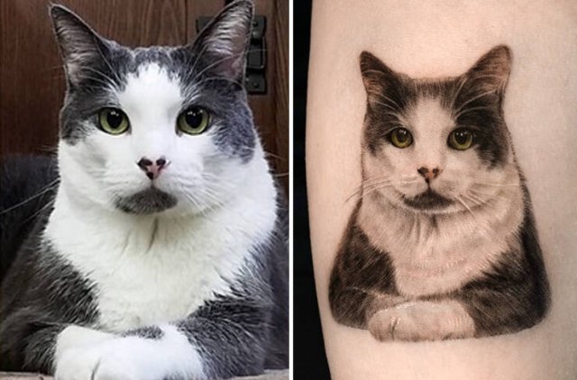 Tattoos For Pet Lovers (16 pics)
