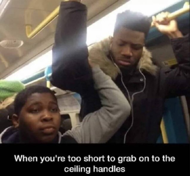 Jokes For Short People (15 pics)