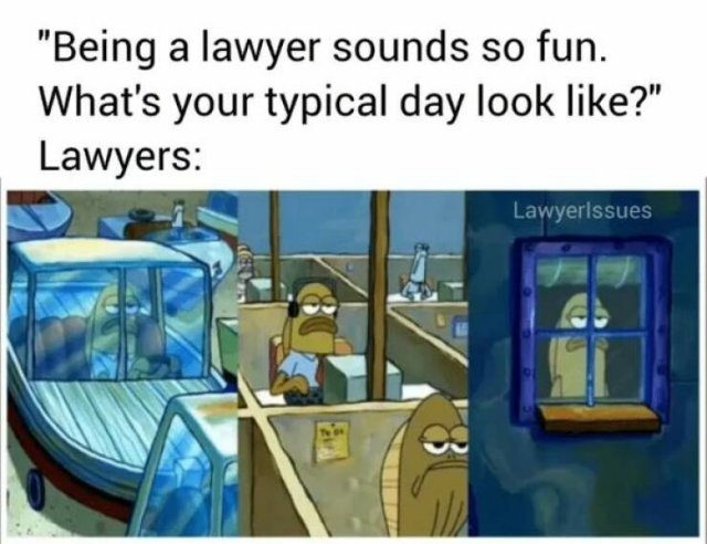 Legal Memes (15 pics)