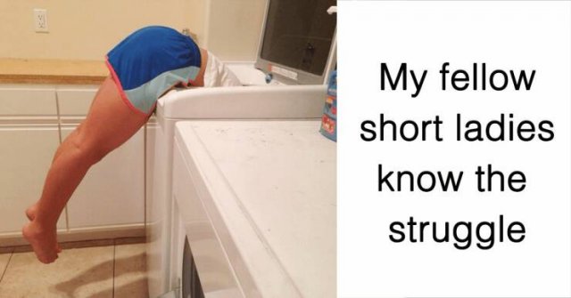 Jokes For Short People (15 pics)