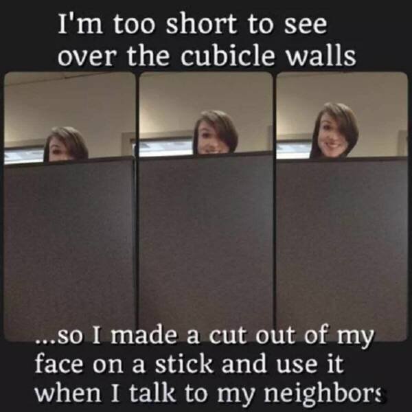 Jokes For Short People (15 pics)