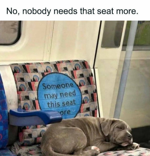 Funny Memes (19 pics)
